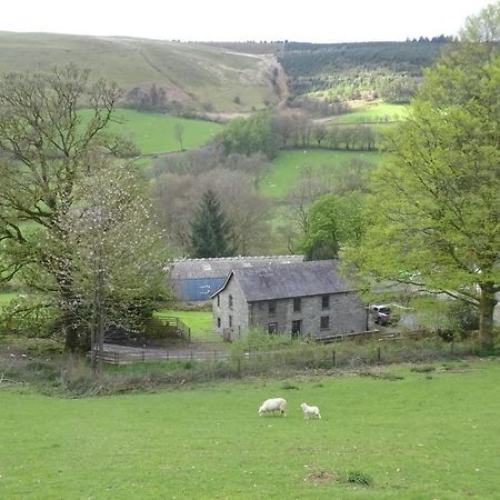 Blaentwrch Farmhouse Llanddewi-Brefi Ngoại thất bức ảnh