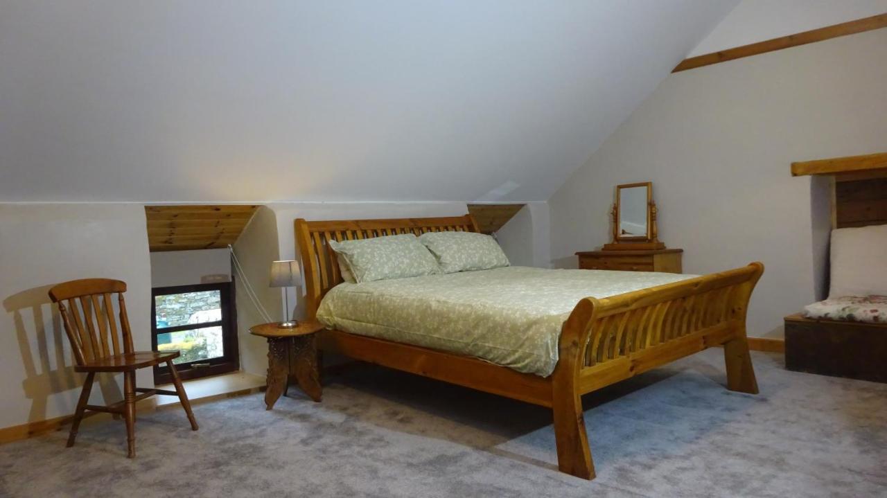Blaentwrch Farmhouse Llanddewi-Brefi Ngoại thất bức ảnh