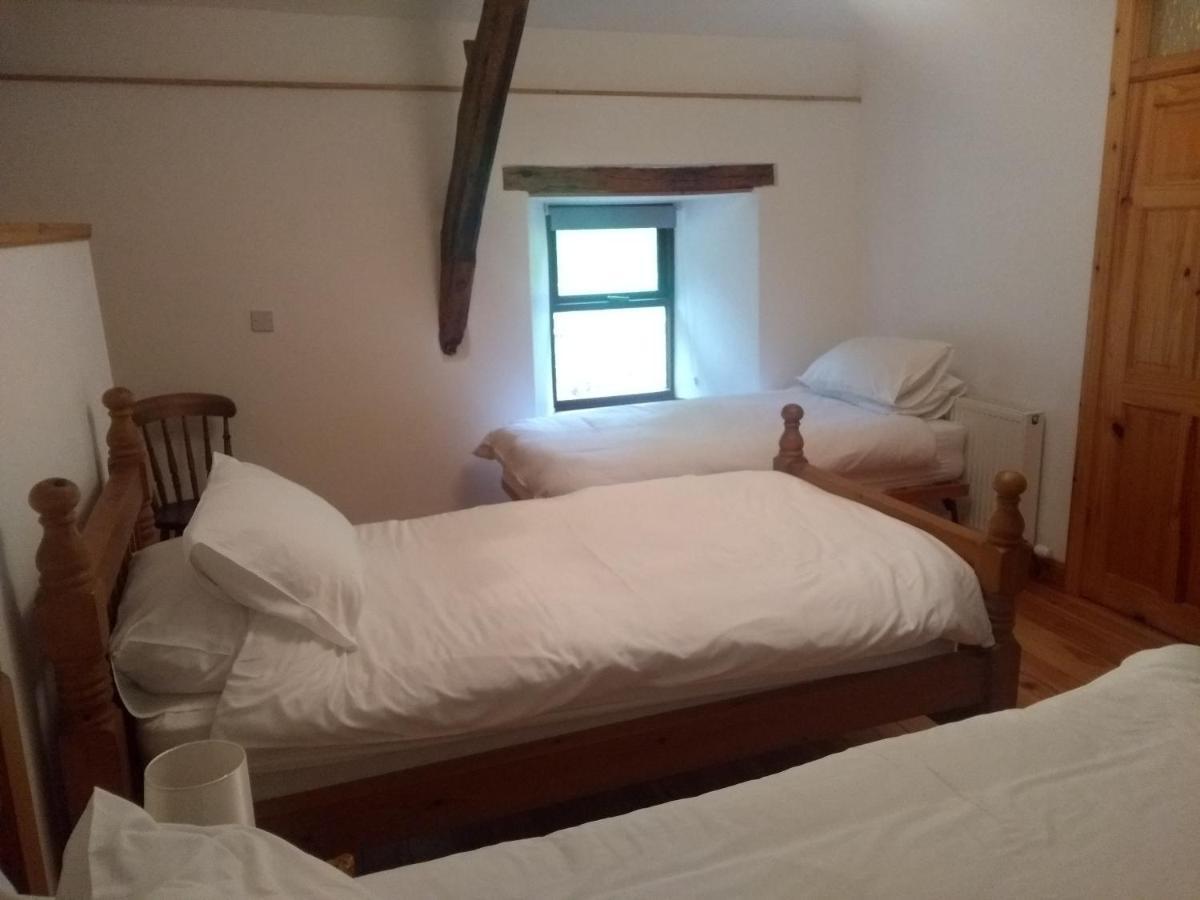 Blaentwrch Farmhouse Llanddewi-Brefi Ngoại thất bức ảnh